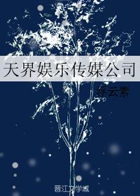 天界娛樂傳媒公司小說封面