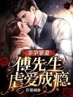 顾清雨傅廷也