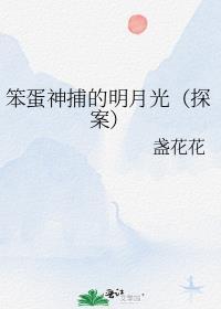 笨蛋神捕的明月光(探案)