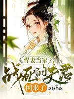 秦穗岁沈兴业