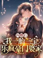闪婚后,我一胎三宝乐疯豪门婆家