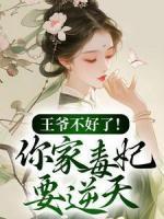 甘棠夜九冥