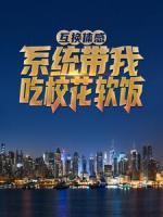 叶凡慕心瓷