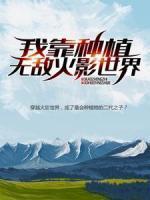 司马戴夫千手扉间