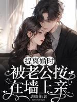 言晚霍黎辰