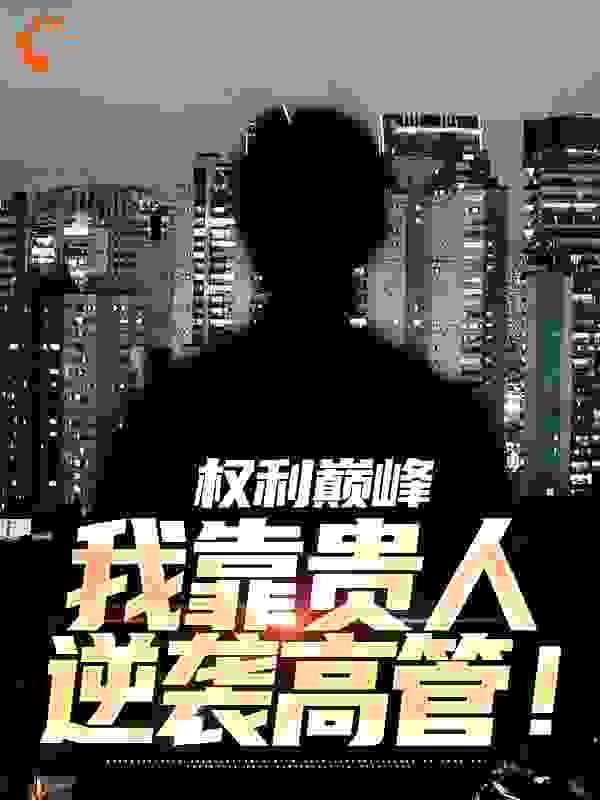 权利巅峰:我靠贵人逆袭高管!
