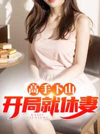 高手下山:开局就休妻