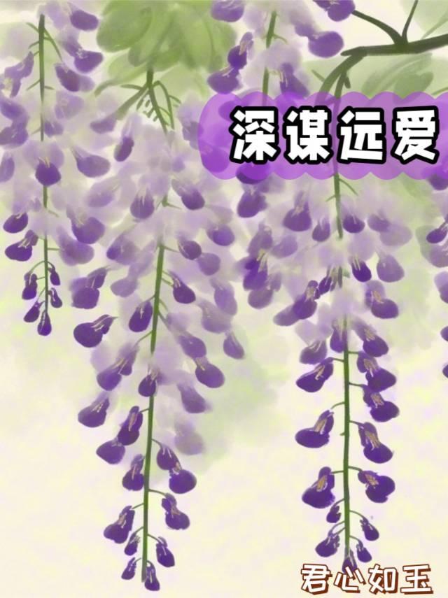 深谋远爱【夺人所爱】