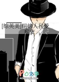 [综英美] 纽约人民受难史