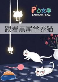 [排球少年同人] 跟着黑尾学养猫