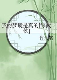 我的梦境是真的[综武侠]