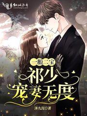 一胎二宝:祁少宠妻无度