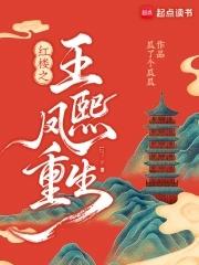 红楼:重生王熙凤携贾琏逆风翻盘