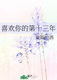 喜欢你的第十三年