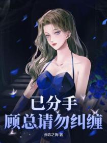 已分手,顾总请勿纠缠!