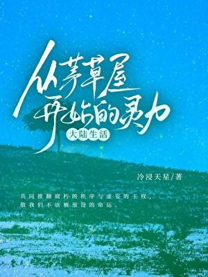 从茅草屋开始的灵力大陆生活