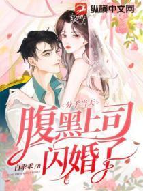 分手当天，我和腹黑上司闪婚了