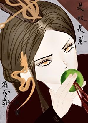 是奴是妻我自有分辨