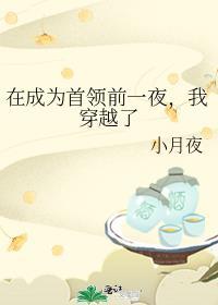 在成为首领前一夜,我穿越了