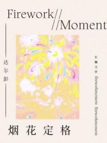 烟花定格