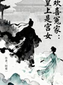 欢喜冤家:皇上是宫女
