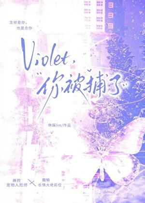 Violet，你被捕了