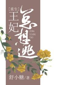 王妃总想逃（重生）