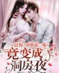 震惊!离婚前一晚竟变成了洞房夜
