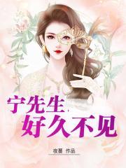 宁先生,好久不见