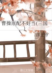 曹操原配不好当三国
