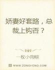 娇妻好套路,总裁上钩否?