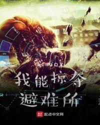 我能掠夺避难所