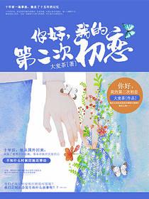 你好,我的第二次初恋
