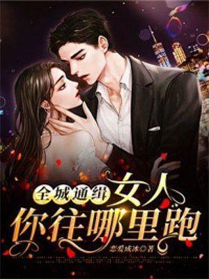 全城通缉:女人,你往哪里跑