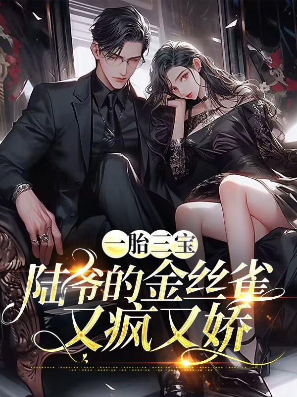 一胎三宝:陆爷的金丝雀又疯又娇