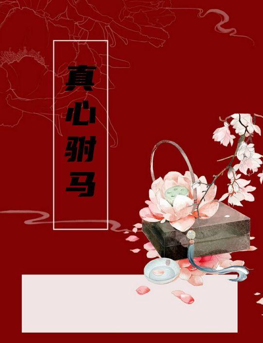 真心驸马