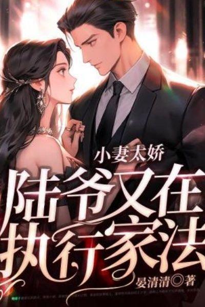 小妻太娇,陆爷又在执行家法
