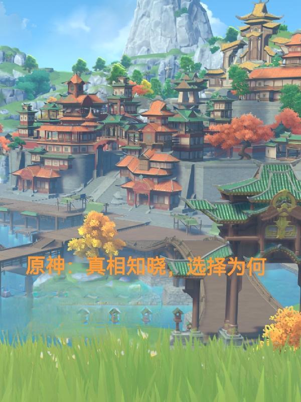 原神:真相知晓,选择为何