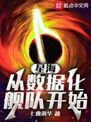 星海,从数据化舰队开始