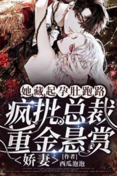她藏起孕肚跑路,疯批总裁重金悬赏娇妻