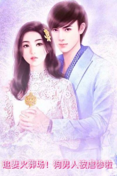 追妻火葬场!狗男人被虐惨啦