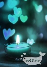 捡来的男人是总裁 1v1 h